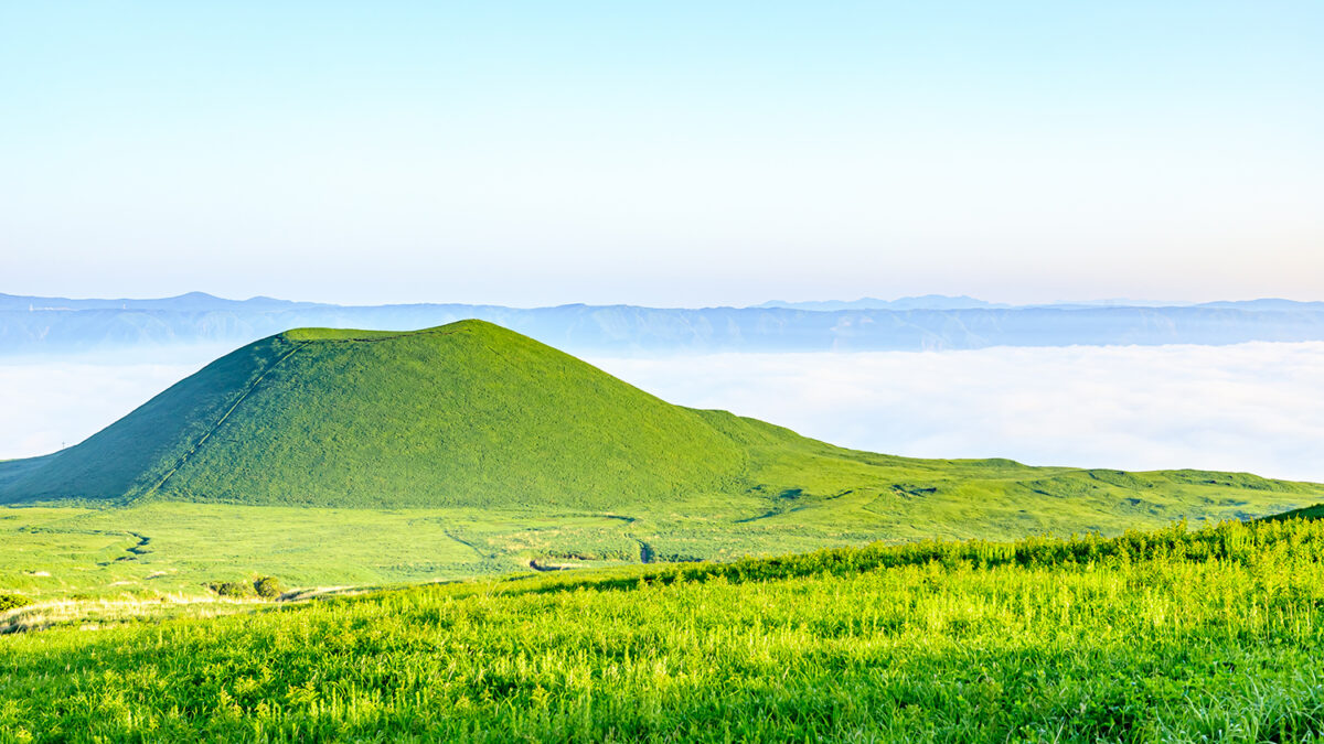 Our factory (English Page)