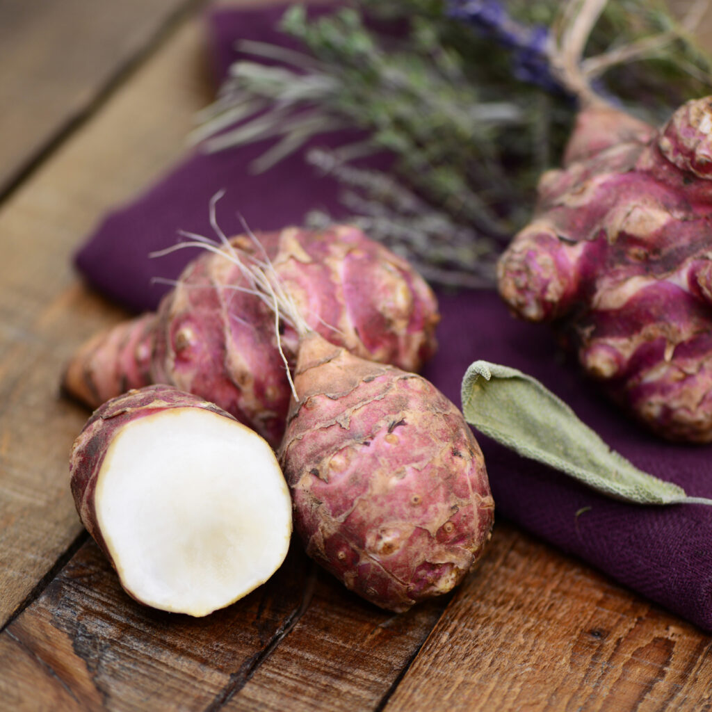 注目の健康野菜 “菊芋 きくいも ”