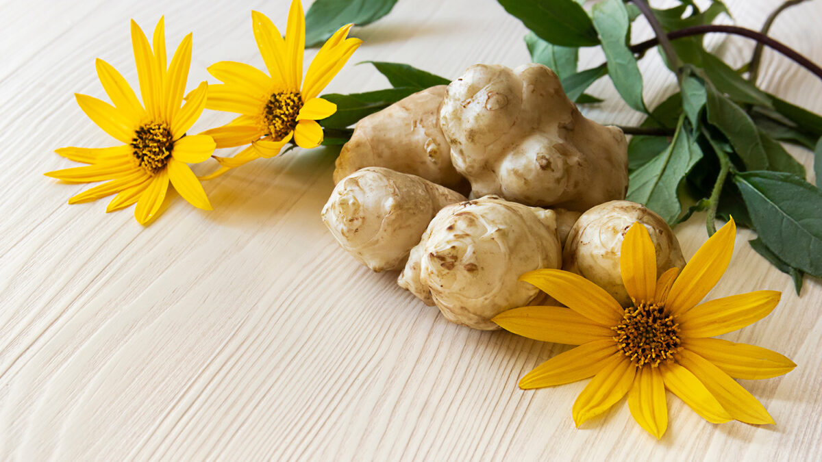 自然の力、イヌリンで腸から元気に